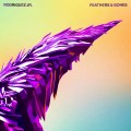 Buy Rodriguez Jr. - Feathers And Bones Mp3 Download