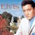 Buy Elvis Presley - Peace In The Valley: The Complete Gospel Recordings CD1 Mp3 Download