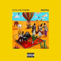 Purchase Kota The Friend - Protea