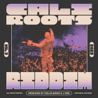 Purchase VA - Collie Buddz: Cali Roots Riddim 2023