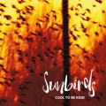 Buy Sunbirds - Cool To Be Kind Mp3 Download