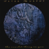 Purchase Peter Murphy - The Scarlet Thing In You (EP)