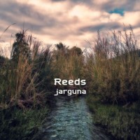 Purchase Jarguna - Reeds