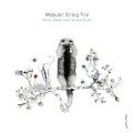 Buy Modular String Trio - Ants, Bees And Butterflies Mp3 Download