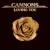 Buy Cannons - Loving You (CDS) Mp3 Download