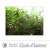 Buy Robert Davies - Cloak Of Summer Mp3 Download