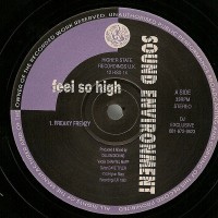 Purchase Sound Environment - Feel So High (EP) (Vinyl)