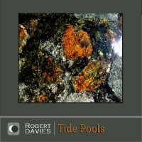 Purchase Robert Davies - Tide Pools