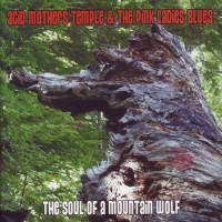 Purchase Acid Mothers Temple & The Melting Paraiso UFO - The Soul Of A Mountain Wolf (EP)
