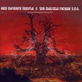 Buy Acid Mothers Temple & The Melting Paraiso UFO - Glorify Astrological Martyrdom Mp3 Download