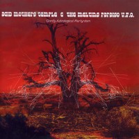 Purchase Acid Mothers Temple & The Melting Paraiso UFO - Glorify Astrological Martyrdom