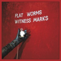 Purchase Flat Worms - Witness Marks