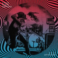 Purchase A Place to Bury Strangers - Live At Levitation