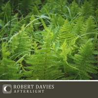 Purchase Robert Davies - Afterlight