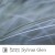 Buy Robert Davies - Sylvan Glen Mp3 Download