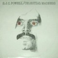 Buy S.J.C. Powell - Celestial Madness (Vinyl) Mp3 Download