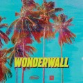 Buy Teemid - Wonderwall (CDS) Mp3 Download