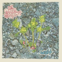 Purchase The Polyphonic Spree - Wait (EP)