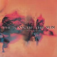 Purchase The Rays Of The Sun - Living Flowers Gallery