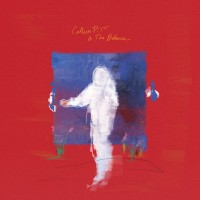 Purchase Callum Pitt - In The Balance