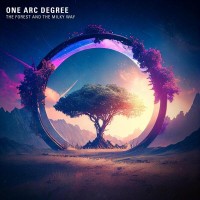 Purchase One Arc Degree - The Forest And The Milky Way