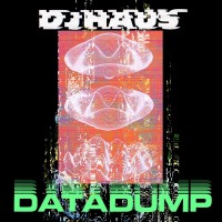 Purchase Dj Haus - Data Dump (EP)