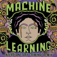 Purchase Dj Haus - Machine Learning (Interplanetary Criminal Remix) (CDS)