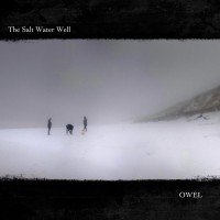 Purchase Owel - The Salt Water Well