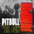 Buy Pitbull - Jumpin (CDS) Mp3 Download