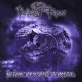 Buy Velvet Viper - Nothing Compares To Metal Mp3 Download