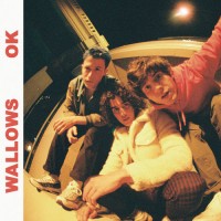 Purchase Wallows - Ok (CDS)