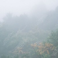 Purchase Chihei Hatakeyama - Mist