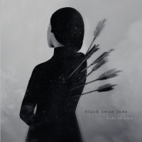 Purchase Black Swan Lane - Hide In View