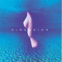 Purchase Dimension - First Dimension