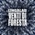 Buy Lingalad - Venti Di Foresta (EP) Mp3 Download