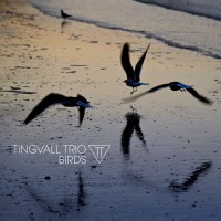 Purchase Tingvall Trio - Birds