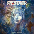 Buy Witchunter - Metal Dream Mp3 Download