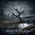 Buy Dom Martin - Buried In The Hail Mp3 Download