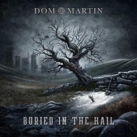 Purchase Dom Martin - Buried In The Hail