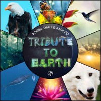 Purchase Roger Shah - Tribute To Earth (With Ambedo)