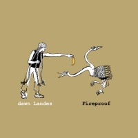 Purchase Dawn Landes - Fireproof