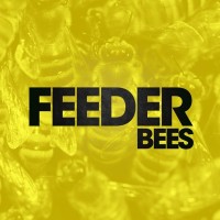Purchase Feeder - Bees (CDS)
