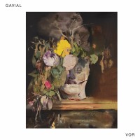 Purchase Gavial - Vor