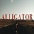 Buy Katie Kuffel - Alligator Mp3 Download