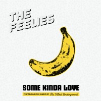 Purchase The Feelies - Some Kinda Love: Performing The Music Of The Velvet Underground