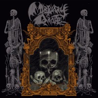Purchase Mortuary Drape - Black Mirror