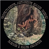 Purchase Rubinho E Mauro Assumpcao - Perfeitamente, Justamente Quando Cheguei (Vinyl)