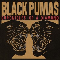 Purchase Black Pumas - Chronicles Of A Diamond
