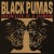 Buy Black Pumas - Chronicles Of A Diamond Mp3 Download
