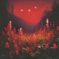 Purchase Silent Planet - Superbloom
